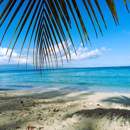 Kaz A Klemence Gite Creole Avec Piscine Et Table Dhotes A Anse Bertrand Екстер'єр фото