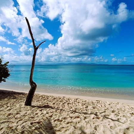 Kaz A Klemence Gite Creole Avec Piscine Et Table Dhotes A Anse Bertrand Екстер'єр фото