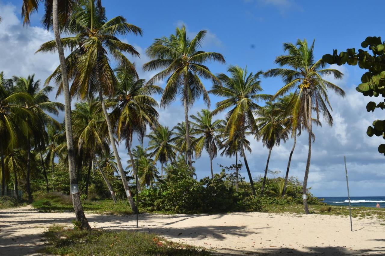 Kaz A Klemence Gite Creole Avec Piscine Et Table Dhotes A Anse Bertrand Екстер'єр фото
