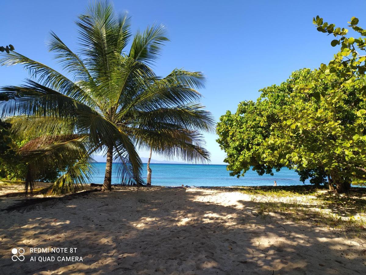 Kaz A Klemence Gite Creole Avec Piscine Et Table Dhotes A Anse Bertrand Екстер'єр фото