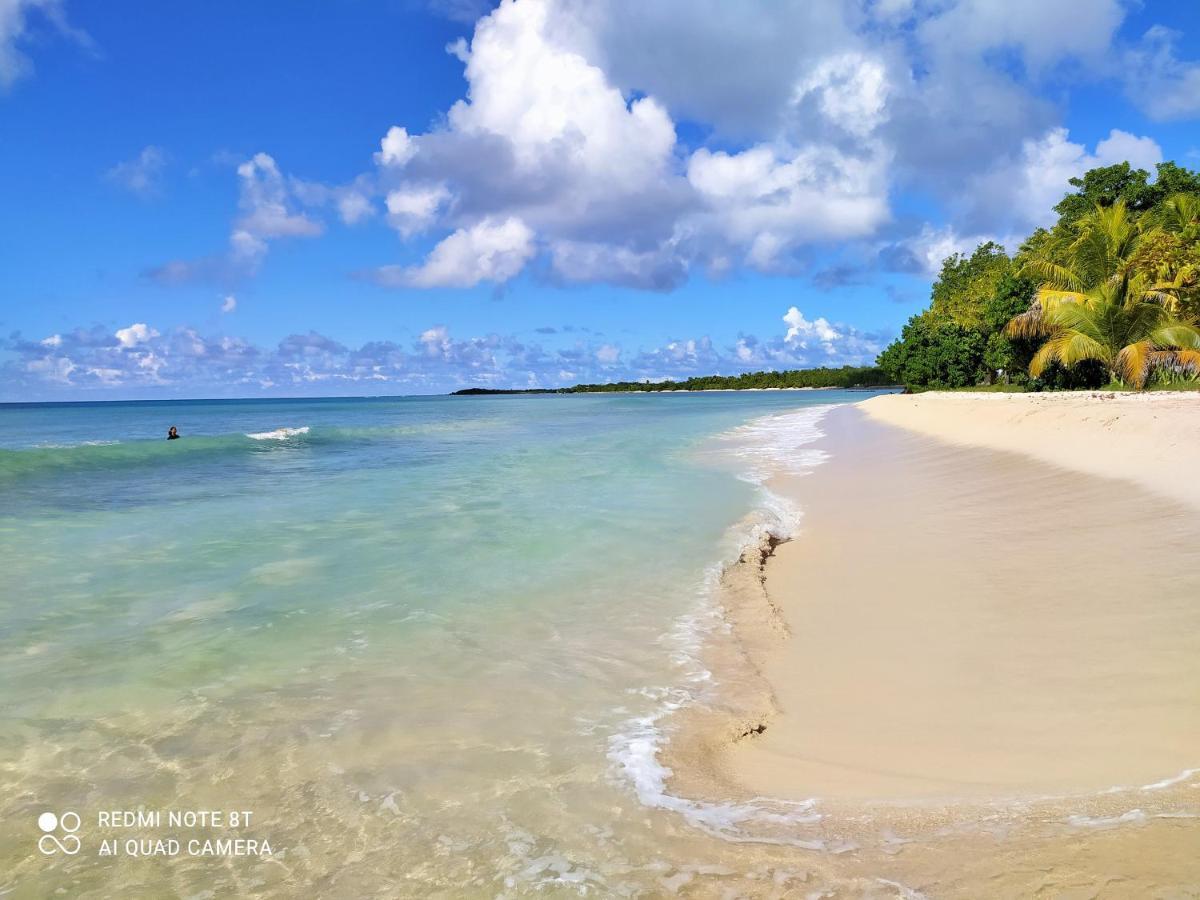 Kaz A Klemence Gite Creole Avec Piscine Et Table Dhotes A Anse Bertrand Екстер'єр фото