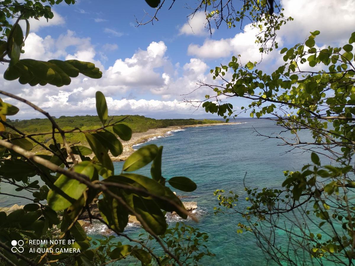 Kaz A Klemence Gite Creole Avec Piscine Et Table Dhotes A Anse Bertrand Екстер'єр фото