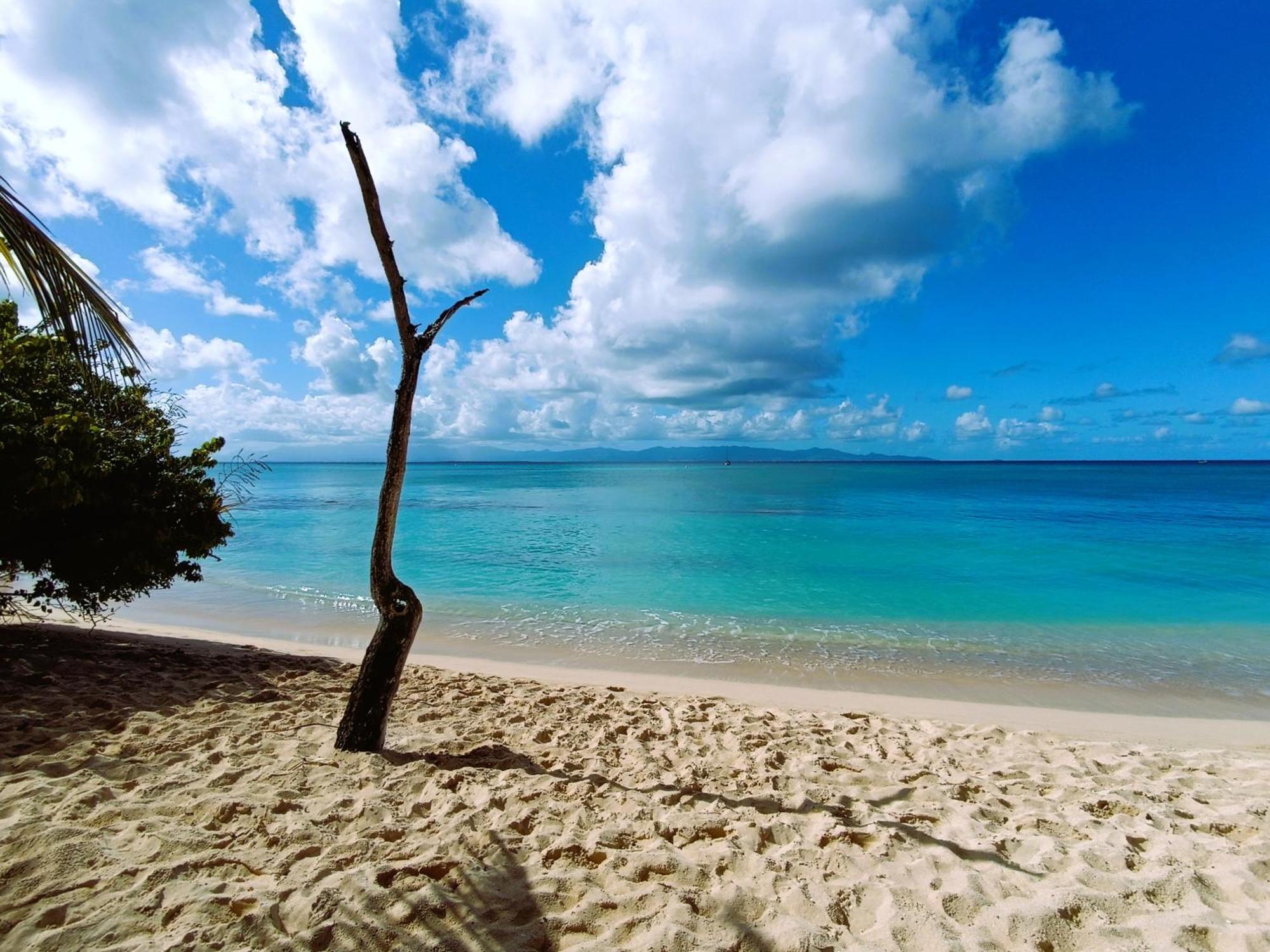Kaz A Klemence Gite Creole Avec Piscine Et Table Dhotes A Anse Bertrand Екстер'єр фото